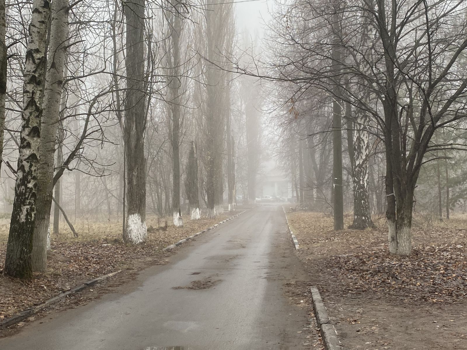 Метеопредупреждение об&nbsp;опасной погоде продлили в&nbsp;Воронежской области