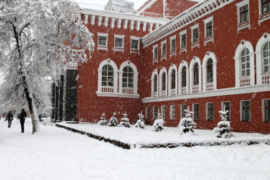 Уничтожение боеприпаса и оцепленная улица. Главные новости Воронежа и области за 22 декабря