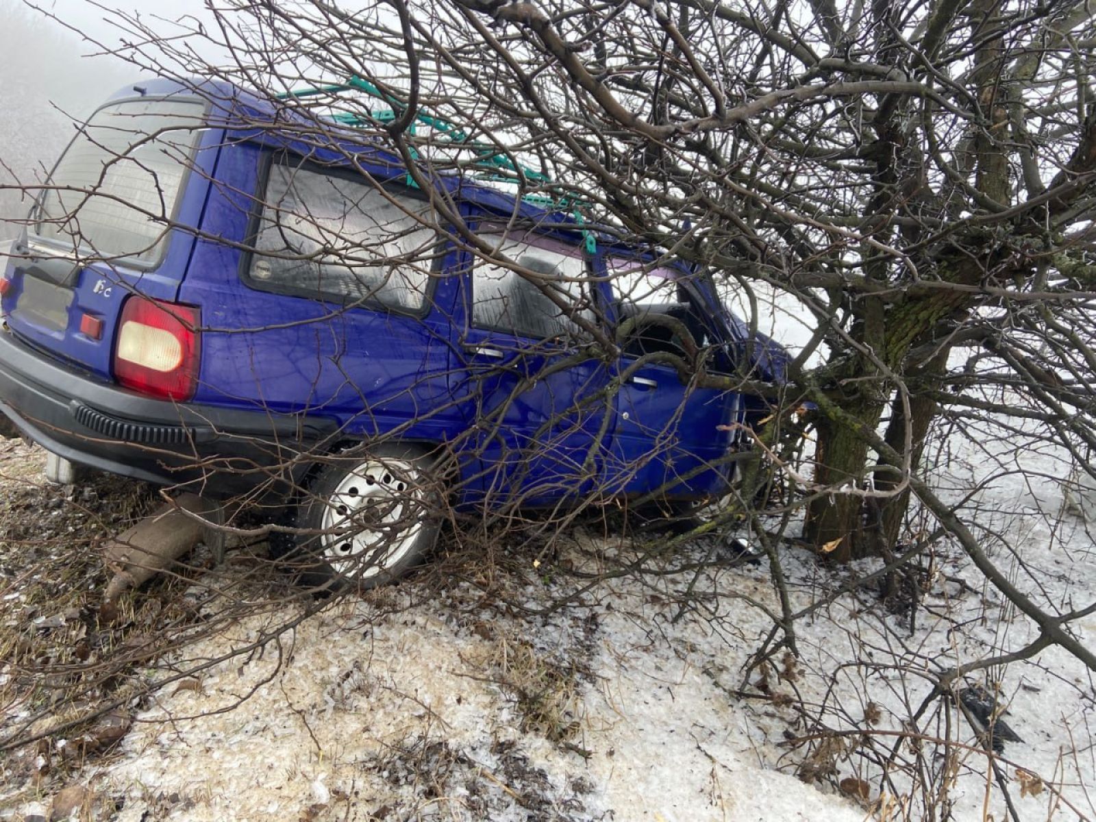 ИЖ вылетел с&nbsp;дороги и&nbsp;врезался в&nbsp;дерево — два человека попали в&nbsp;больницу