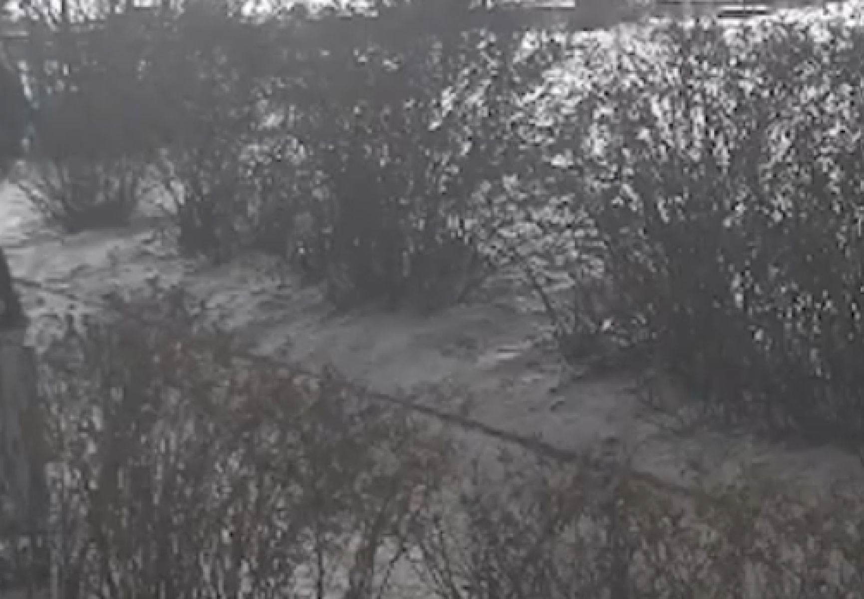 В Липецке компания молодежи попалась на квартирной краже