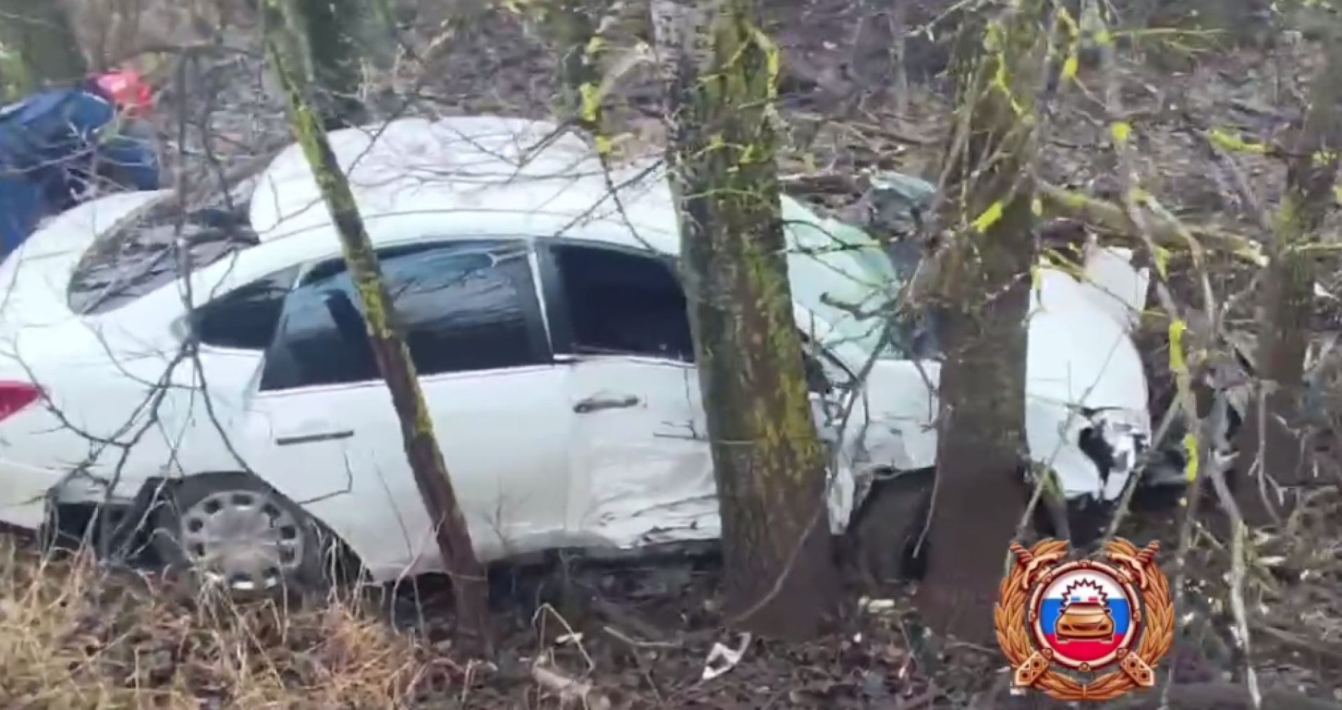 В Белгородской области автомобиль вылетел с дороги