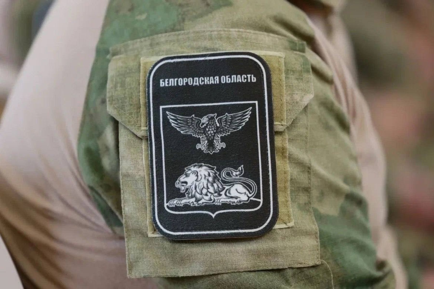 В Белгородской области увеличат финансовую поддержку для семей участников СВО