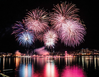 «Неужели всем плевать?» Воронежцев взбесили салюты в новогоднюю ночь