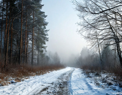 Опасное погодное явление надвигается на Воронежскую область