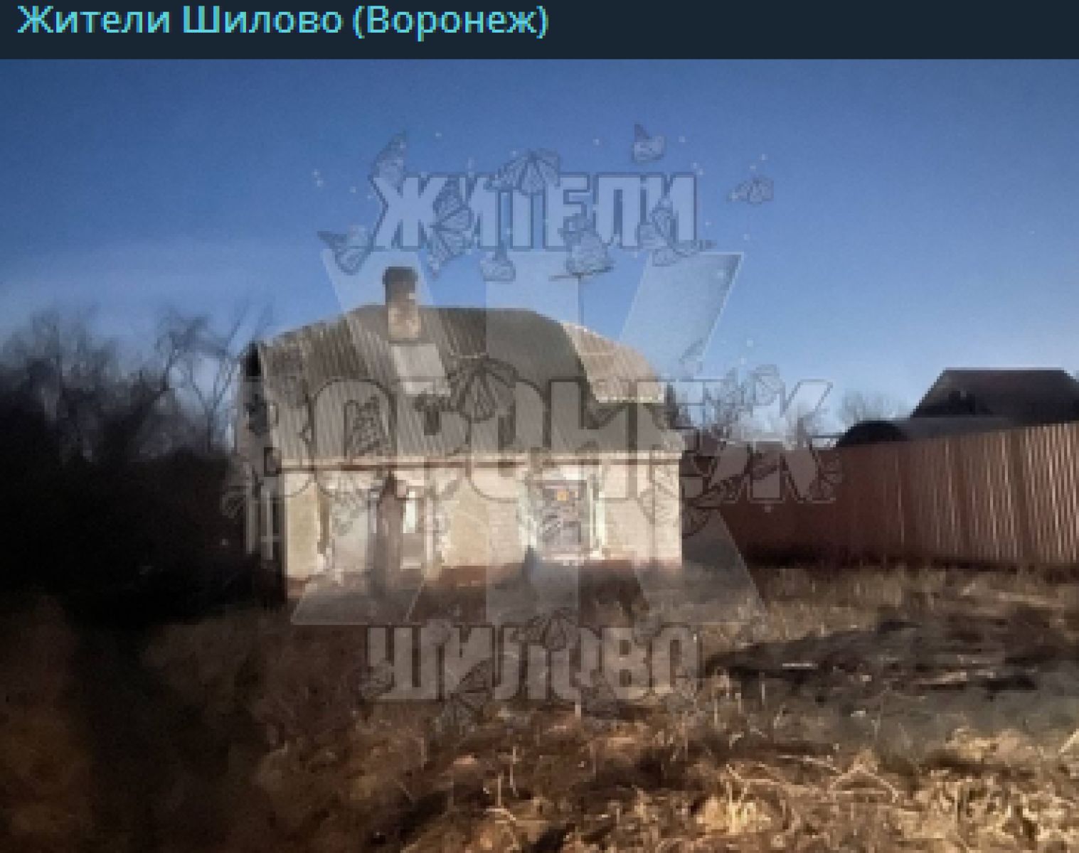 трупы женщн Костюм для косплея «сделай сам» Труп невесты Тим Бёртона Виктория эверглот  Косплей Костюм для взрослых женщин костюм в викторианскую полоску L320 |  AliExpress