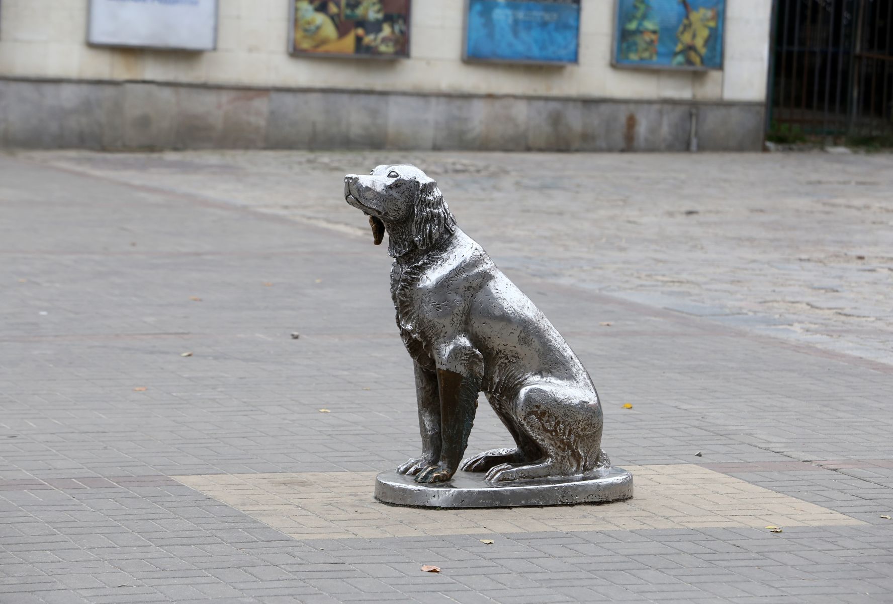 Громкий хлопок и необычное задержание вора. Главные новости Воронежа и области за 13 января