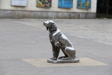 Громкий хлопок и необычное задержание вора. Главные новости Воронежа и области за 13 января