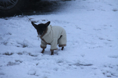 Прогноз погоды в Воронеже на среду, 15 января