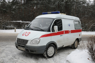 Ребёнок, заболевший свиным гриппом, умер в Воронеже