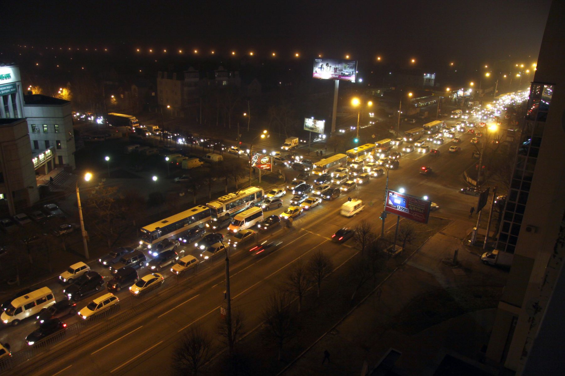 Убитая жена в лесу и чудом спасённый пёс. Главные новости Воронежа и области за 19 января&nbsp;