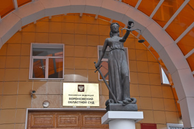 Имущество арестовали у экс-главы района Воронежской области, обвинённого в мошенничестве