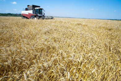 Более 80 тонн импортных пестицидов оказались в Воронежской области 