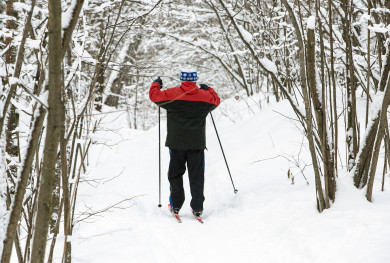 Почему зима в Воронеже аномально тёплая и что будет с погодой дальше