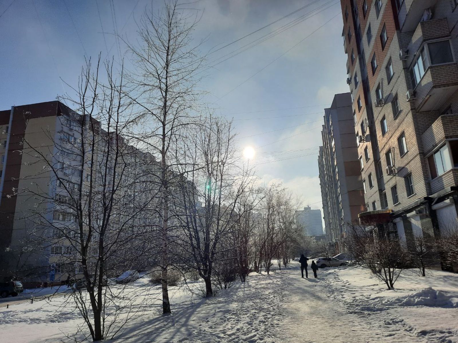 Причина аномальной зимы и&nbsp;мужчина с&nbsp;«гранатой». Главные новости Воронежа и&nbsp;области за&nbsp;25 января