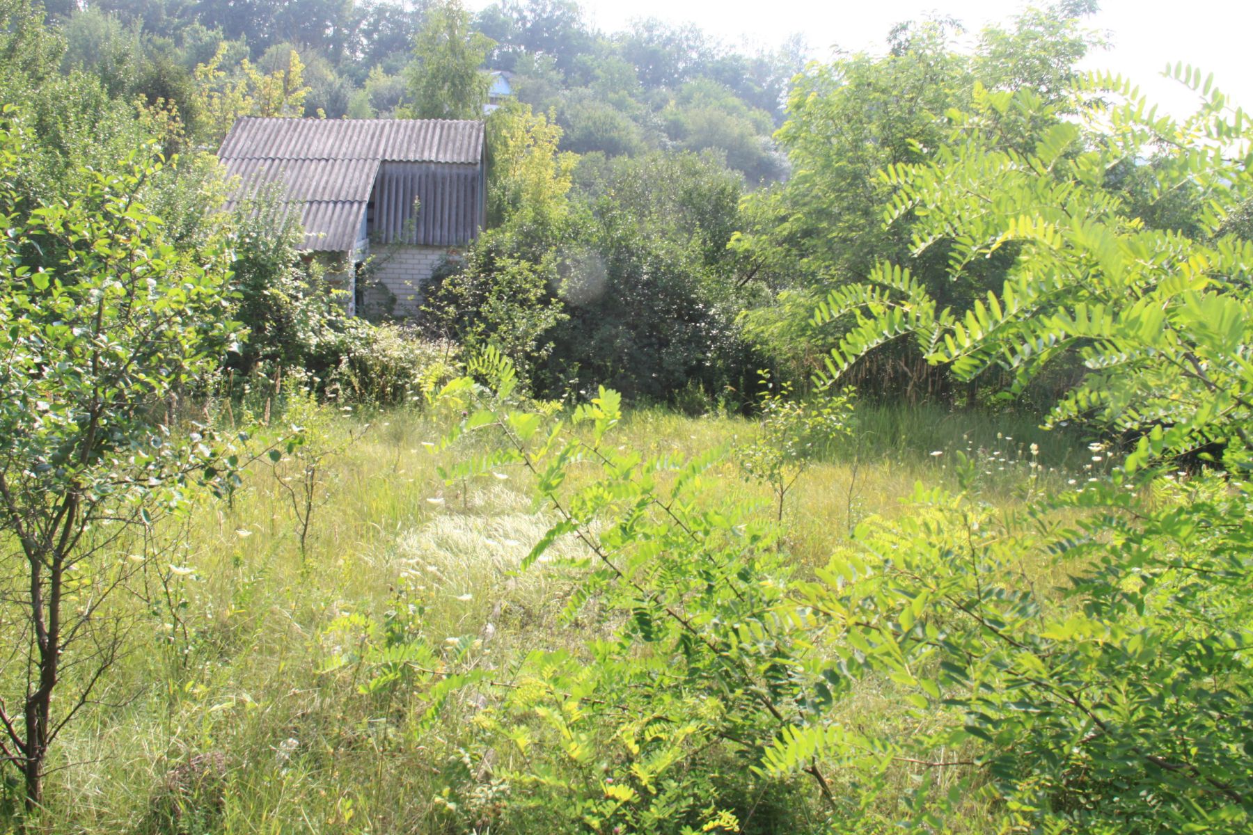 Как белгородским участникам СВО получить бесплатные участки?