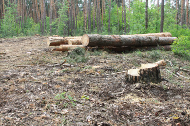 Контрабандист захватил заложников и убил трёх из них
