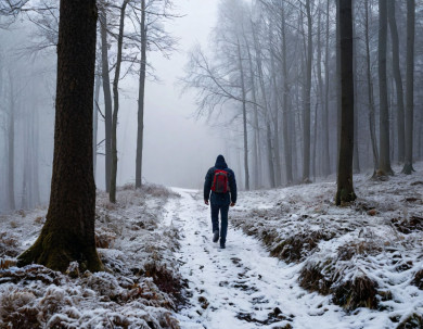 Двух без вести пропавших нашли погибшими в Воронежской области