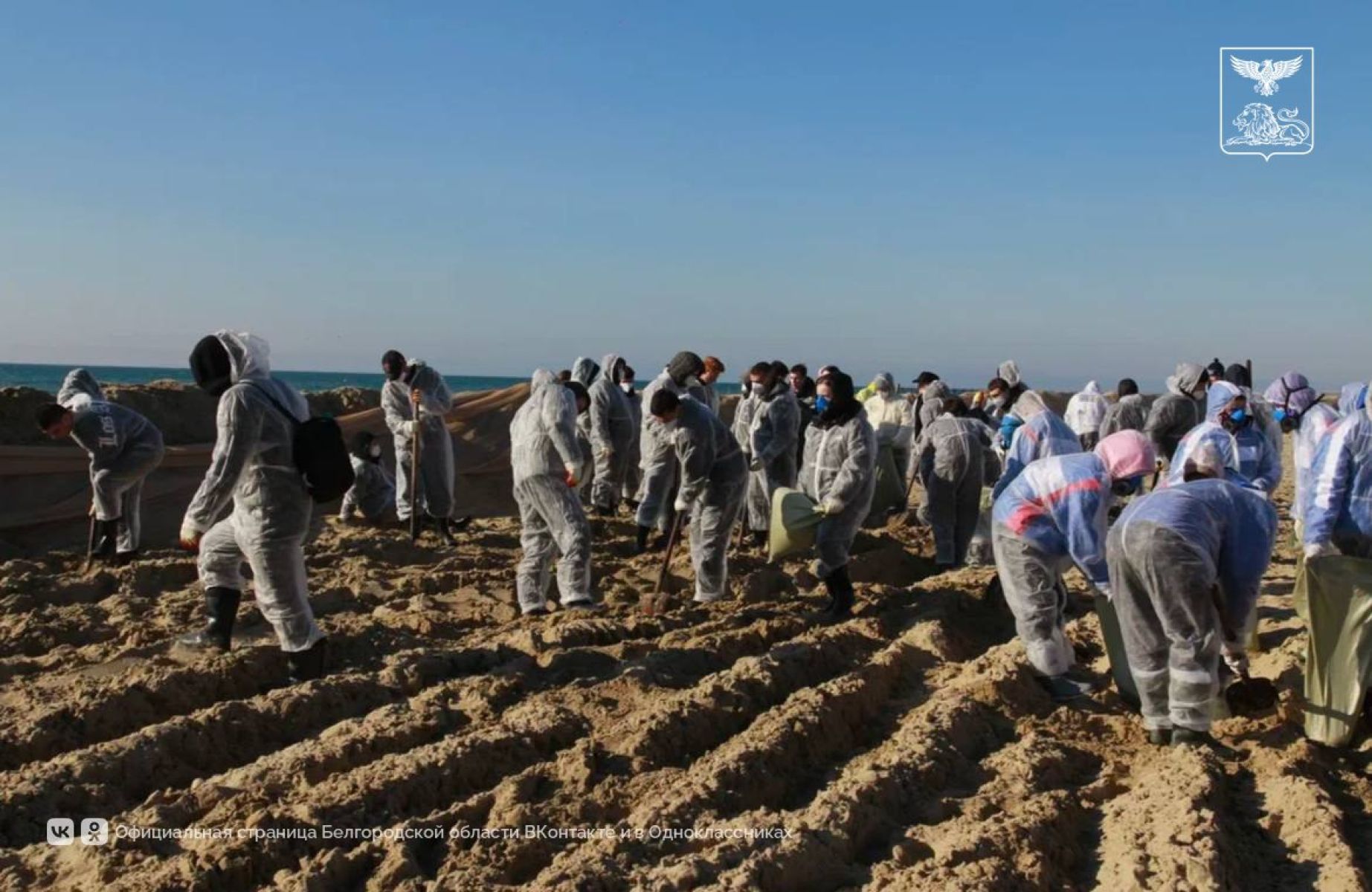 Белгородские студенческие отряды участвуют в ликвидации экологической катастрофы на Черном море