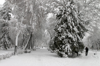 Морозы нагрянут в Воронеж на рабочей неделе 