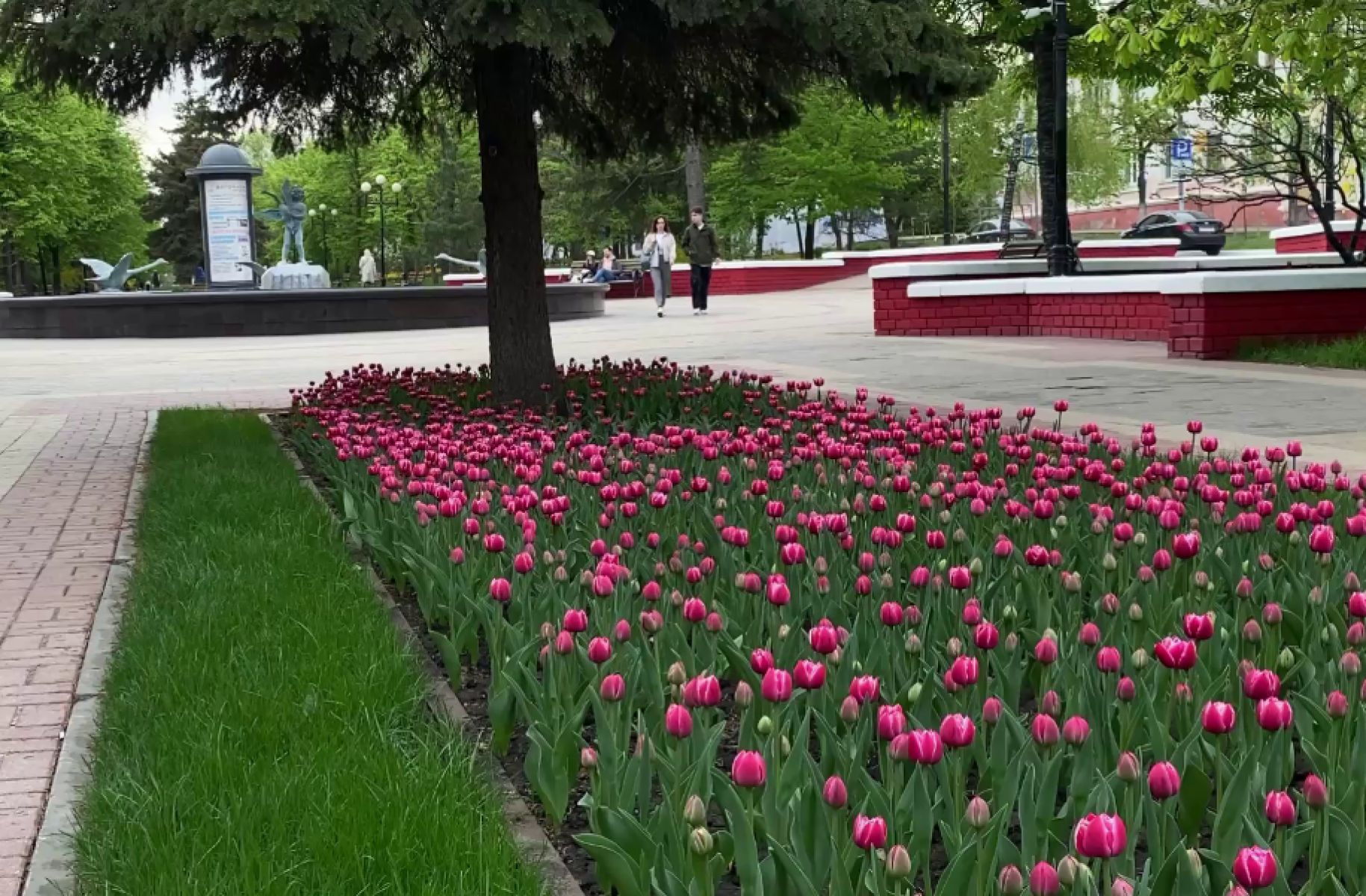 В Белгородской области возродят трудовые традиции среди подростков