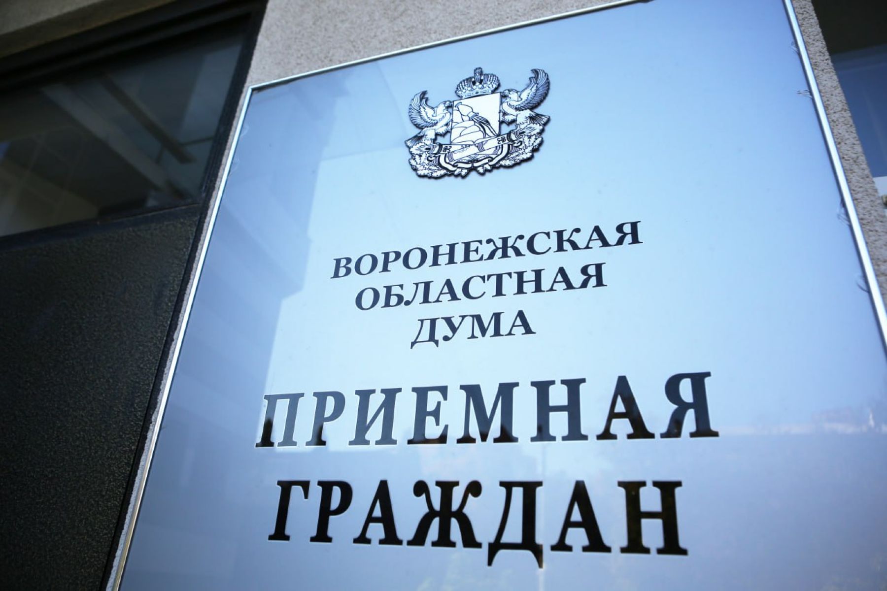 Владимир Нетёсов: «Свыше 5 тысяч обращений получили от&nbsp;воронежцев депутаты облдумы в прошлом году»
