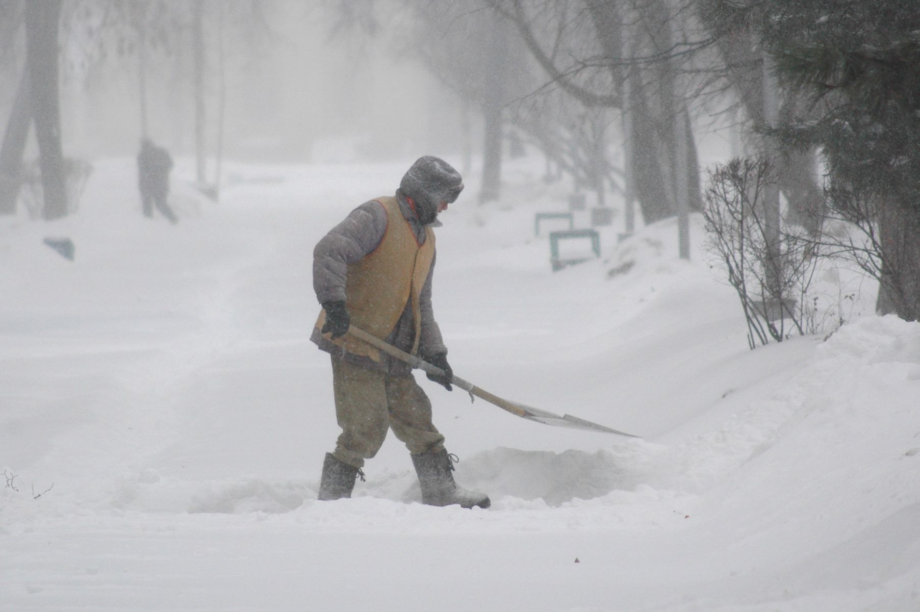 Убийство в пансионате и метель. Главные новости Воронежа и области за 4 февраля