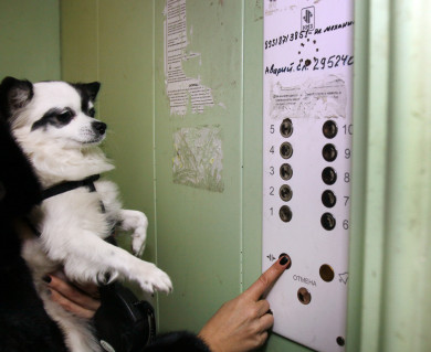 Будут ли жильцы домов с лифтами платить за капремонт больше других