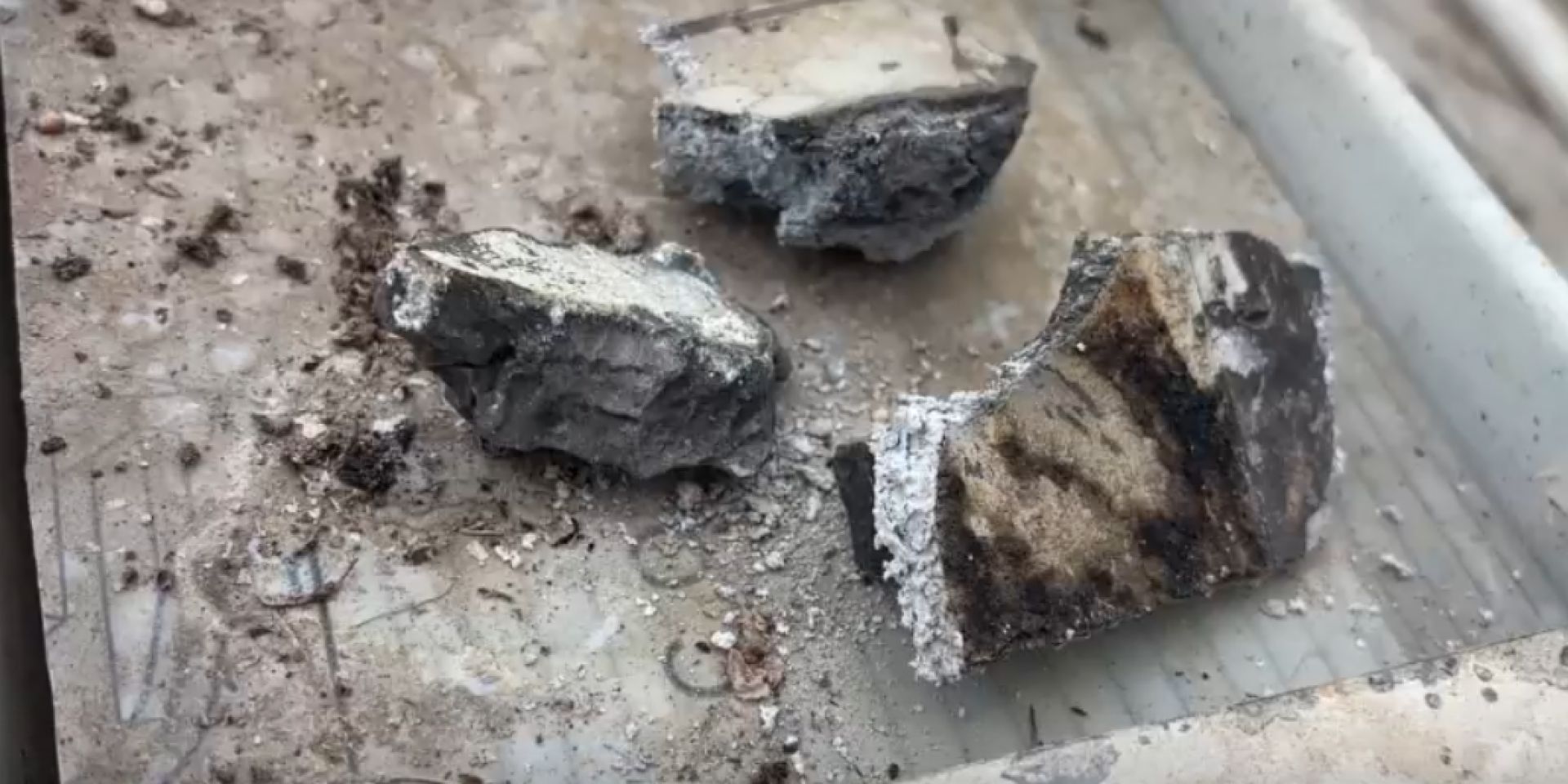 В Белгороде городская теплица восемь раз за год попадала под обстрелы ВСУ