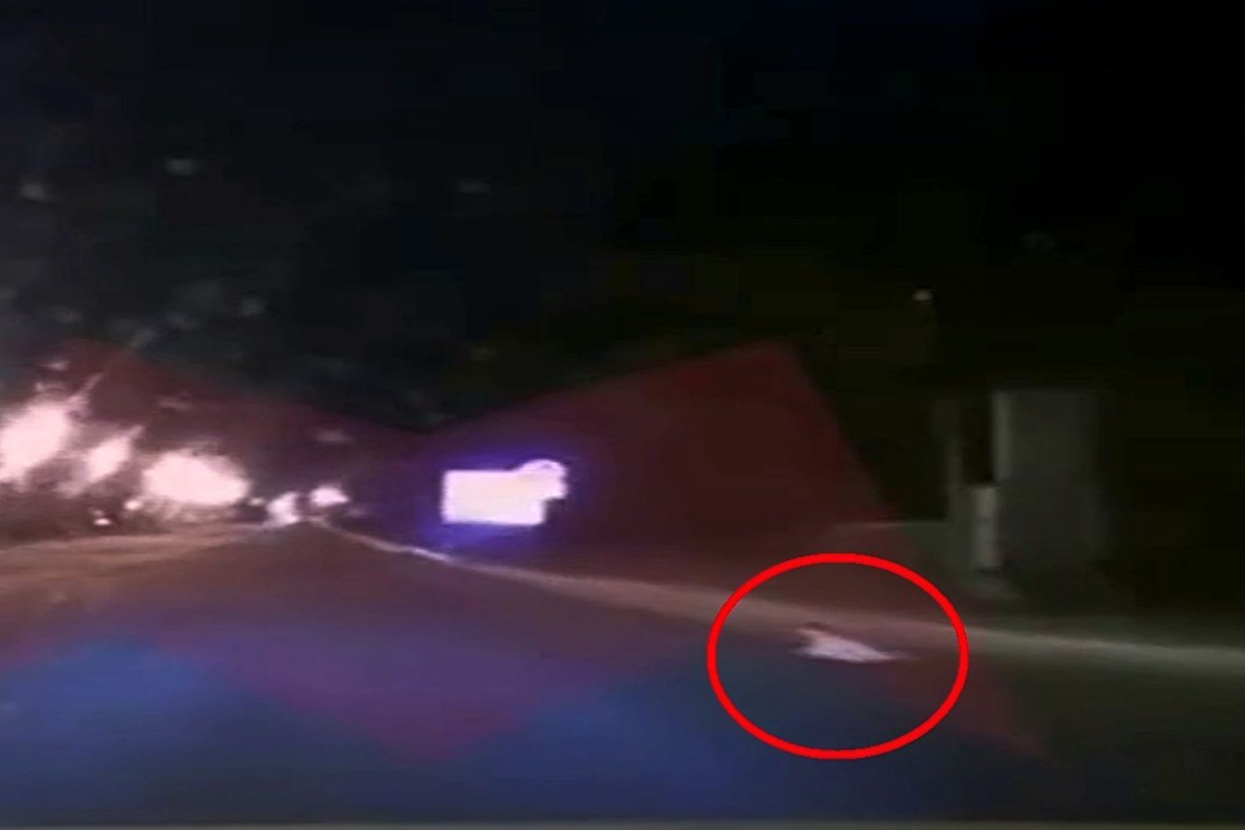 Главное за ночь. Младенец выполз ночью на&nbsp;трассу под&nbsp;колёса авто