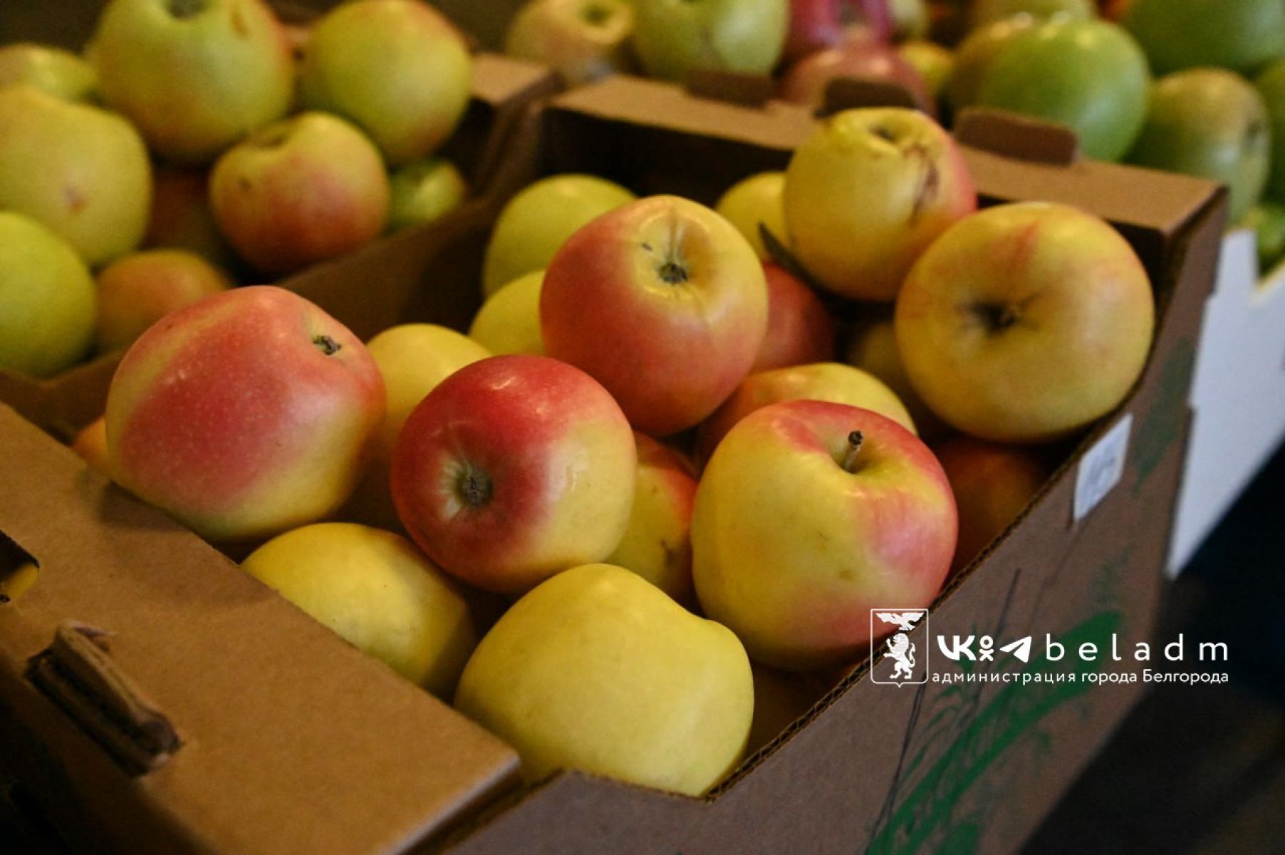 В Белгороде пройдет сельскохозяйственная ярмарка