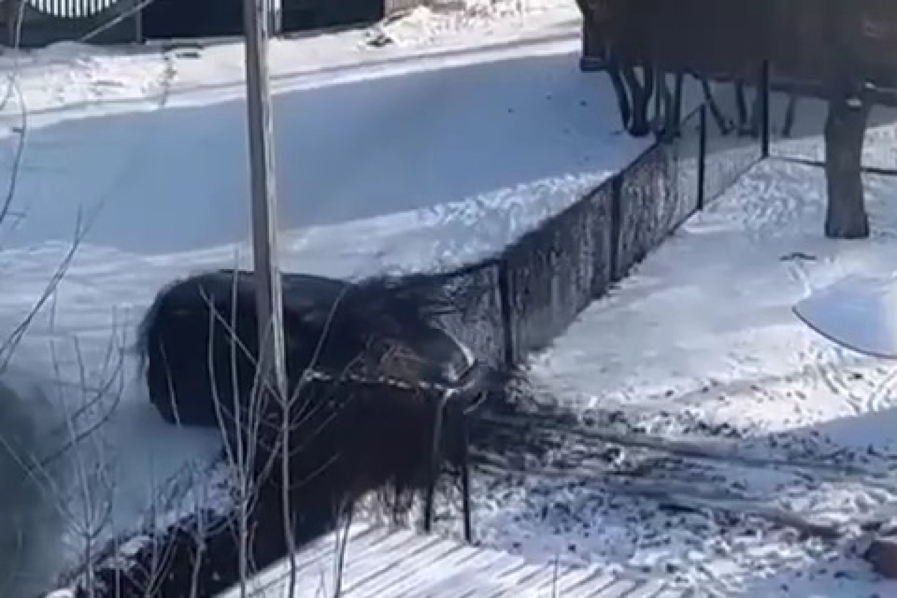 Пьяного водителя на легковушке наказали лишением прав за снесенный забор в детском саду в Ельце