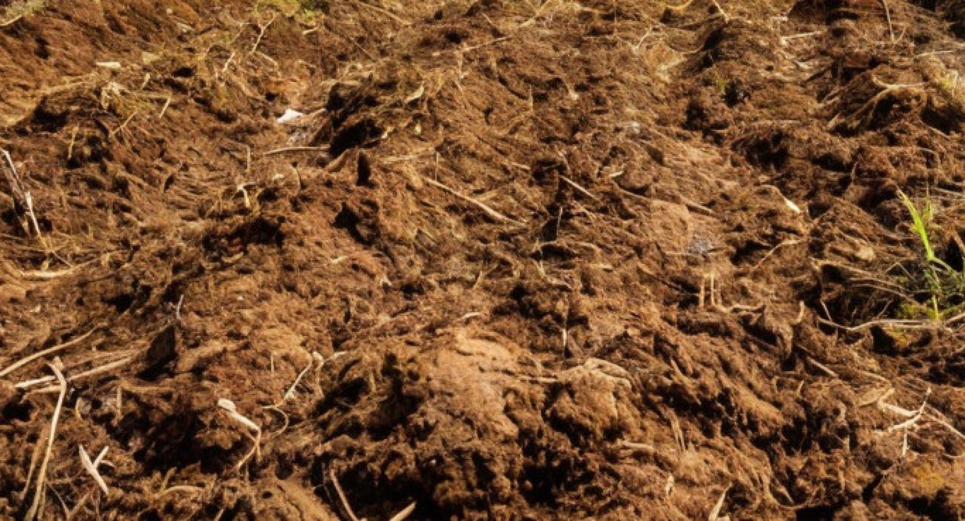 Появилось фото с места жуткой гибели работника предприятия в Воронежской области