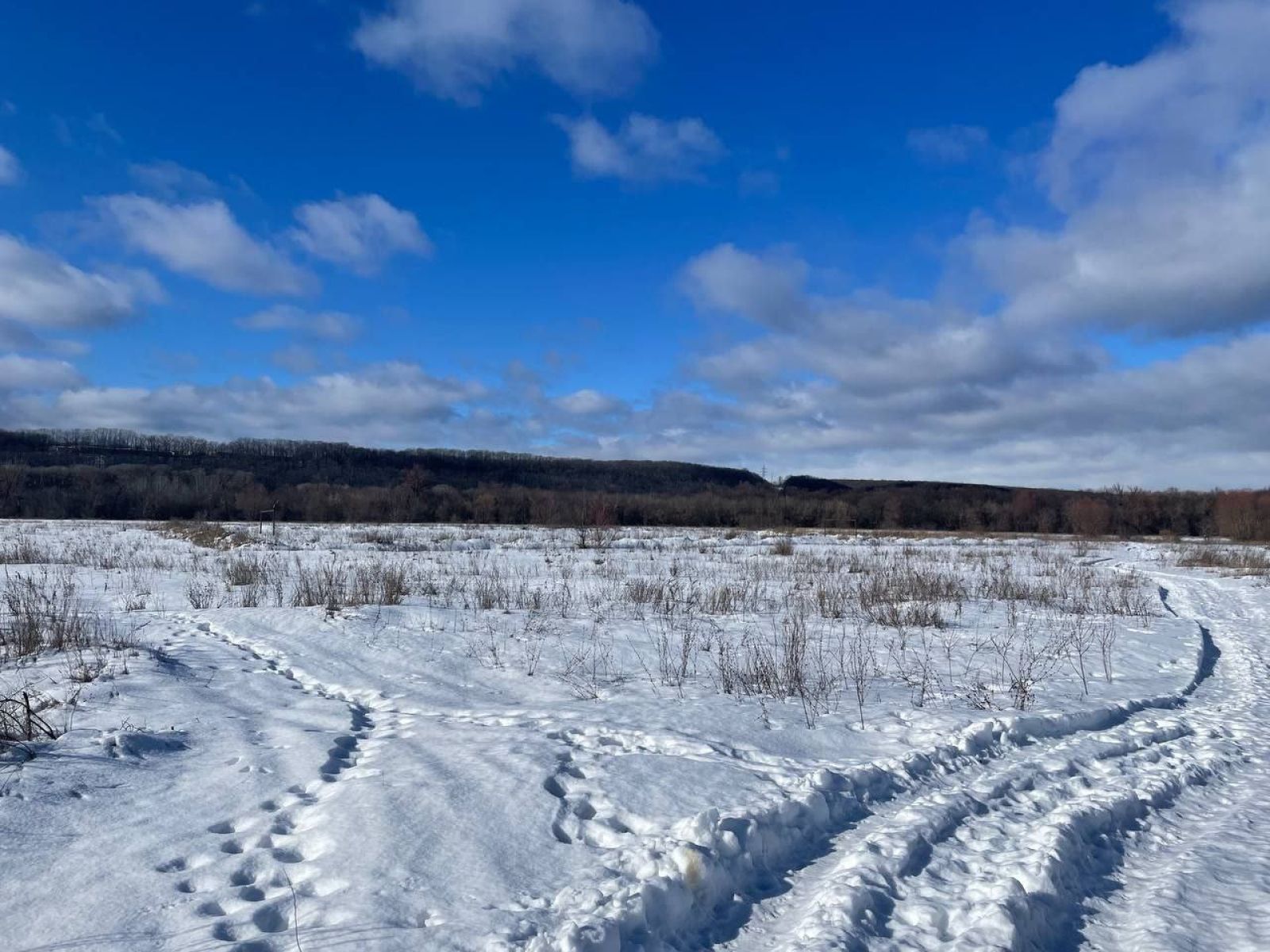 Опасное погодное явление накроет Воронежскую область&nbsp;