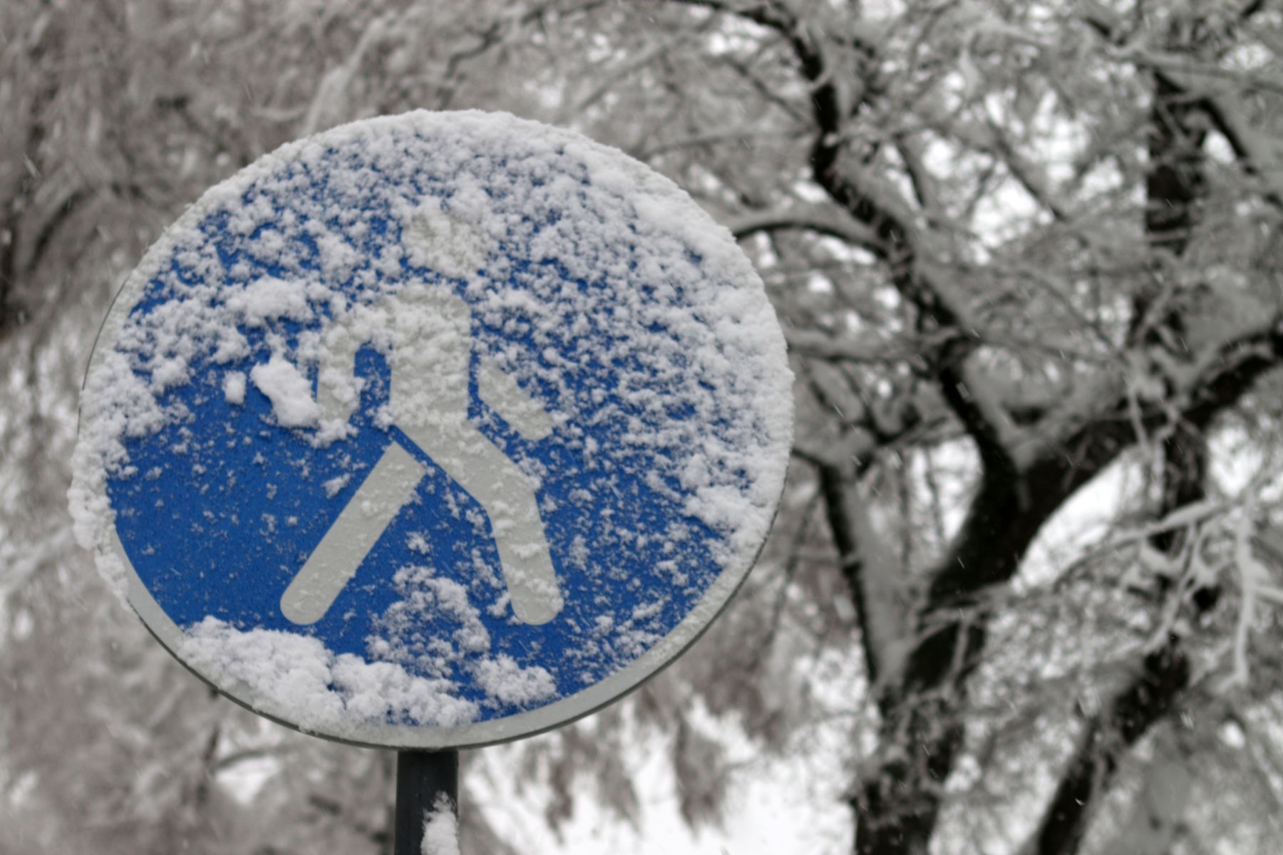 Жителей Белгорода предупреждают об аномальном холоде