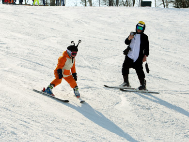 Выяснилось, где может появиться новая лыжная трасса в Воронеже 