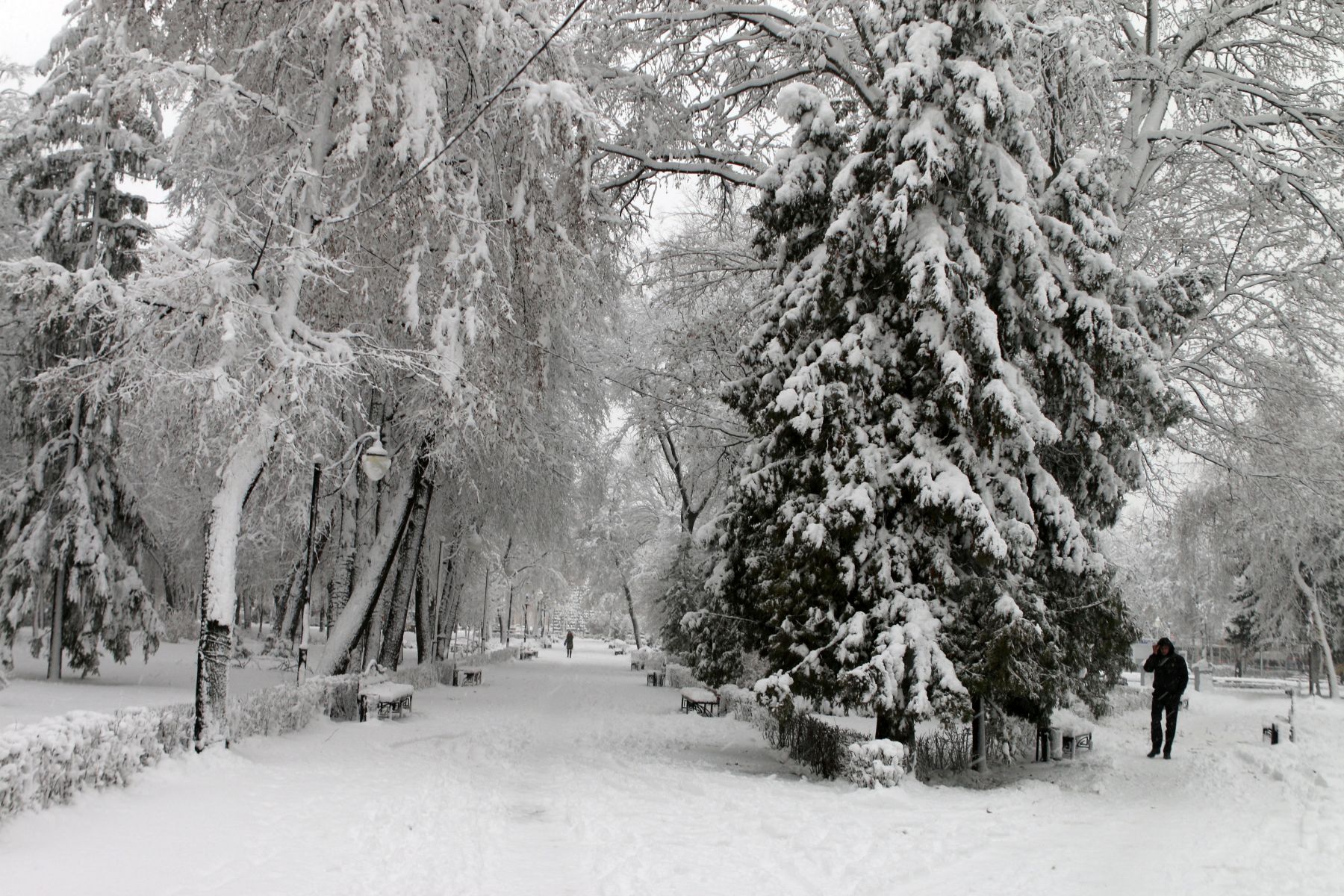 Отрубленная рука и&nbsp;эвакуация ТЦ. Главные новости Воронежа и&nbsp;области за&nbsp;20 февраля