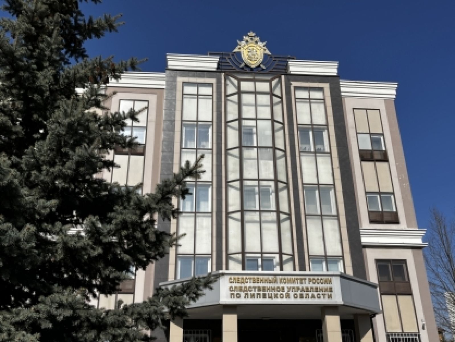 В Липецке взят под стражу местный житель, который обвиняется в зверском убийстве женщины топором