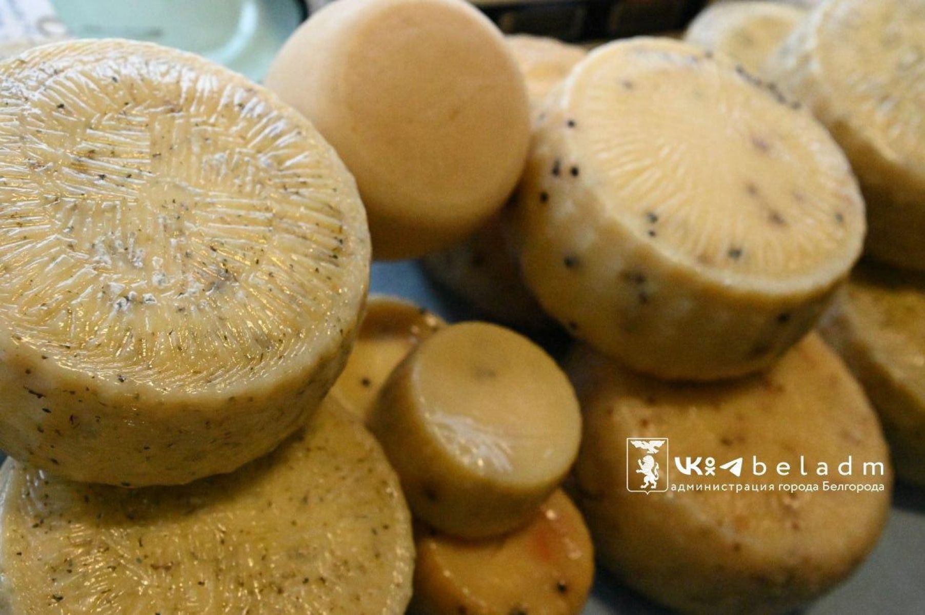 В Белгороде проведут сельскохозяйственную ярмарку