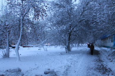 Прогноз погоды в Воронеже на понедельник, 24 февраля