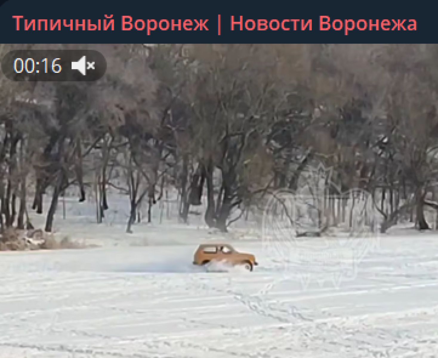 Опасное развлечение воронежцев на водохранилище попало на видео