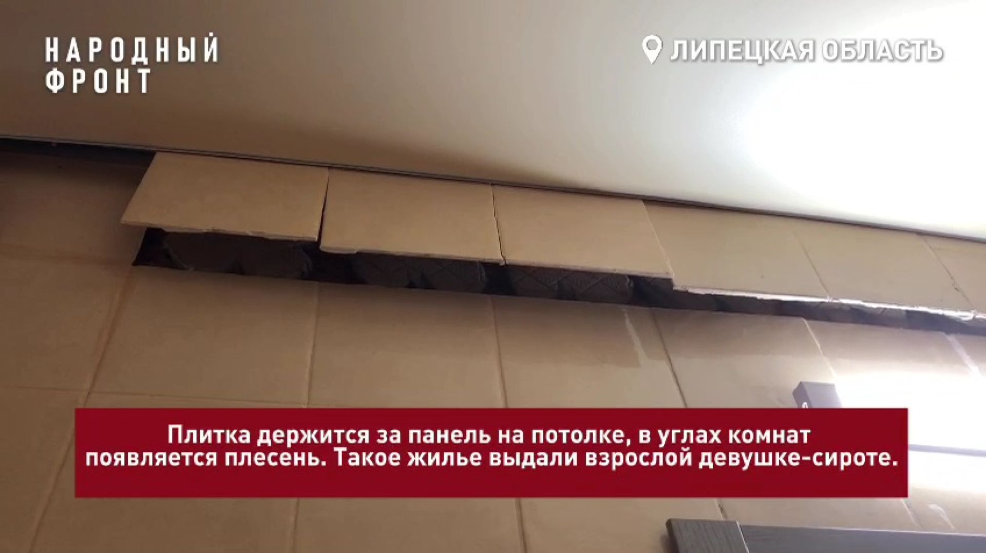 Плесень, трещины и сырость: липецкая сирота пожаловалась на жуткие жилищные условия