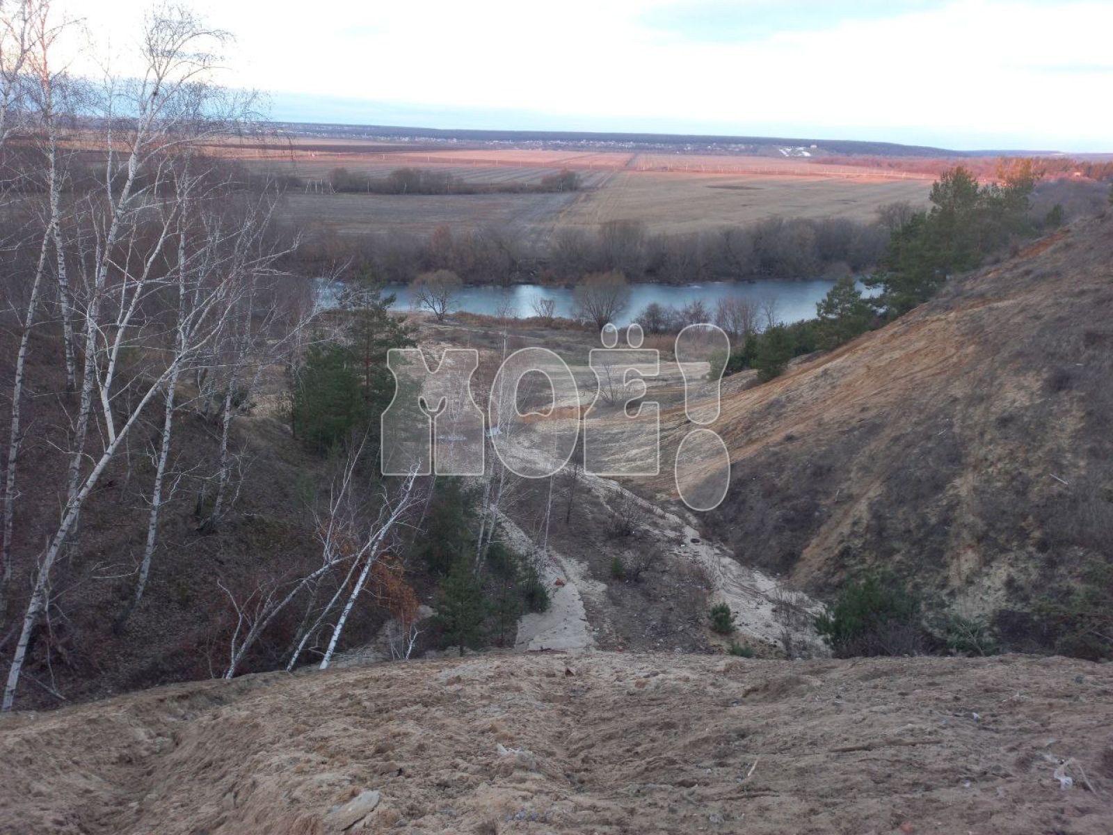 «Наше озеро Круглое превращается в болото». Воронежцы возмущены состоянием водоёма