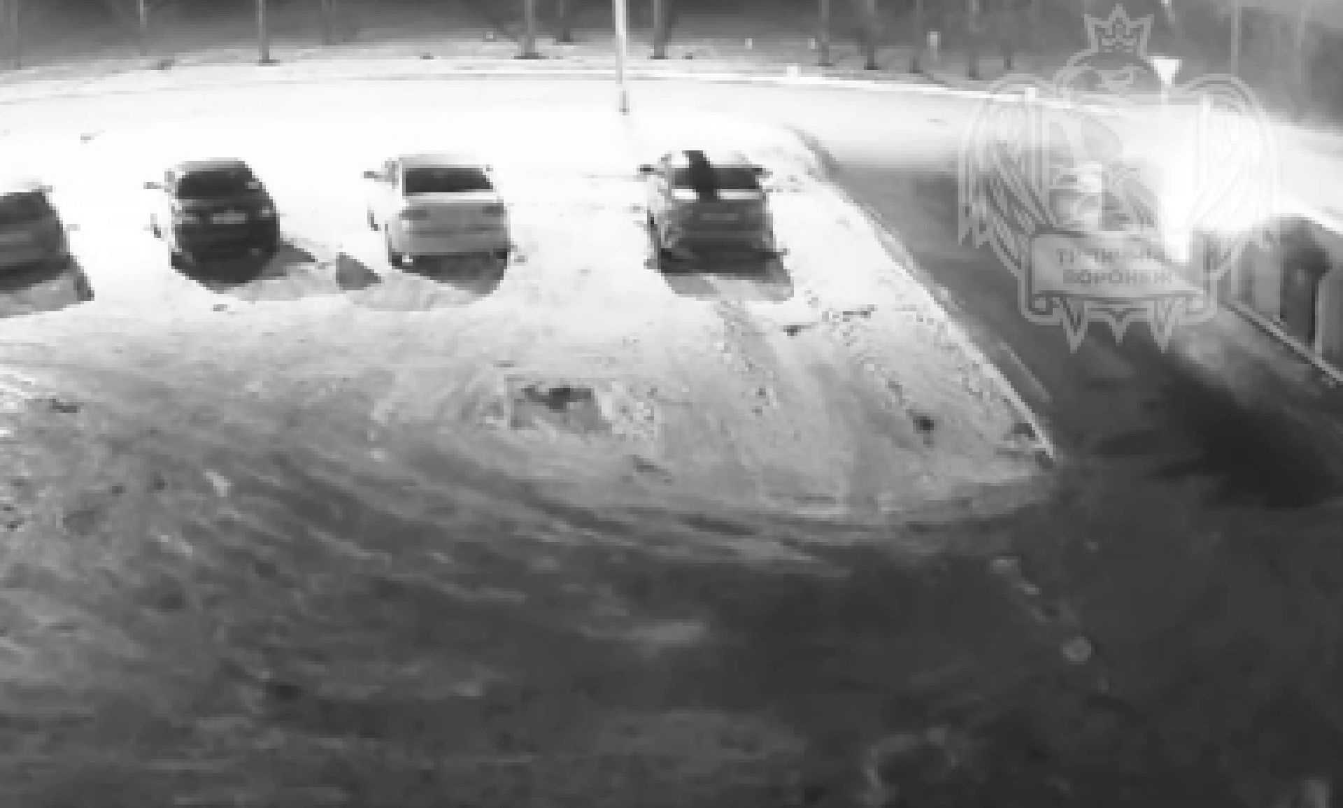Выяснилось, кто устроил «подрыв» мусорки под Воронежем