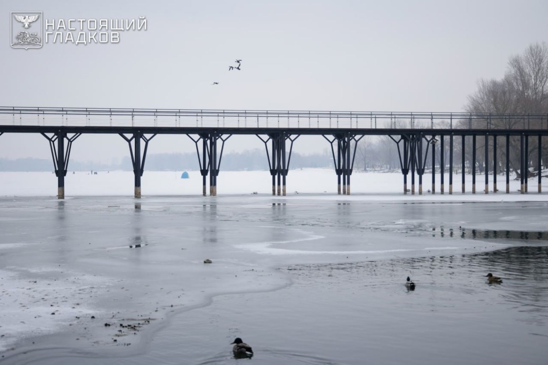 В Белгороде появится уникальный парк скульптур
