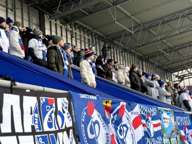 Болельщики воронежского «Факела» оскорбили судей в матче против «Химок»