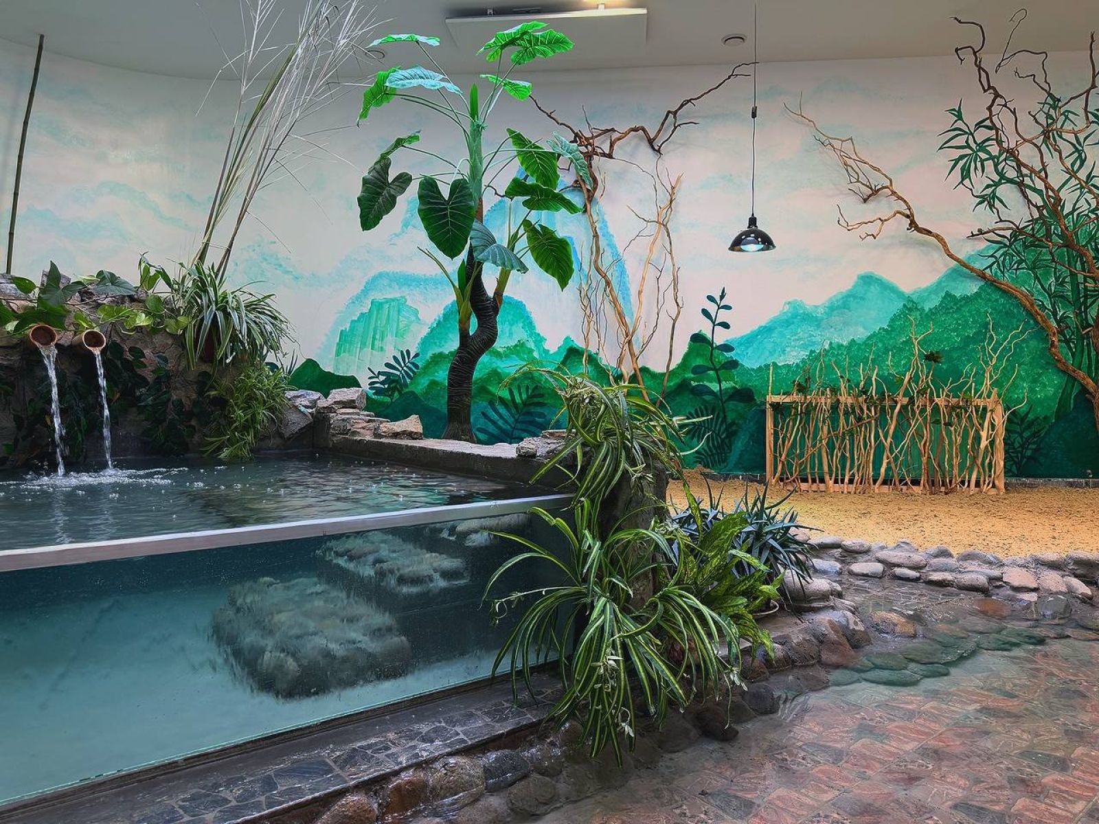 В Белгородском зоопарке появились краснокнижные птицы