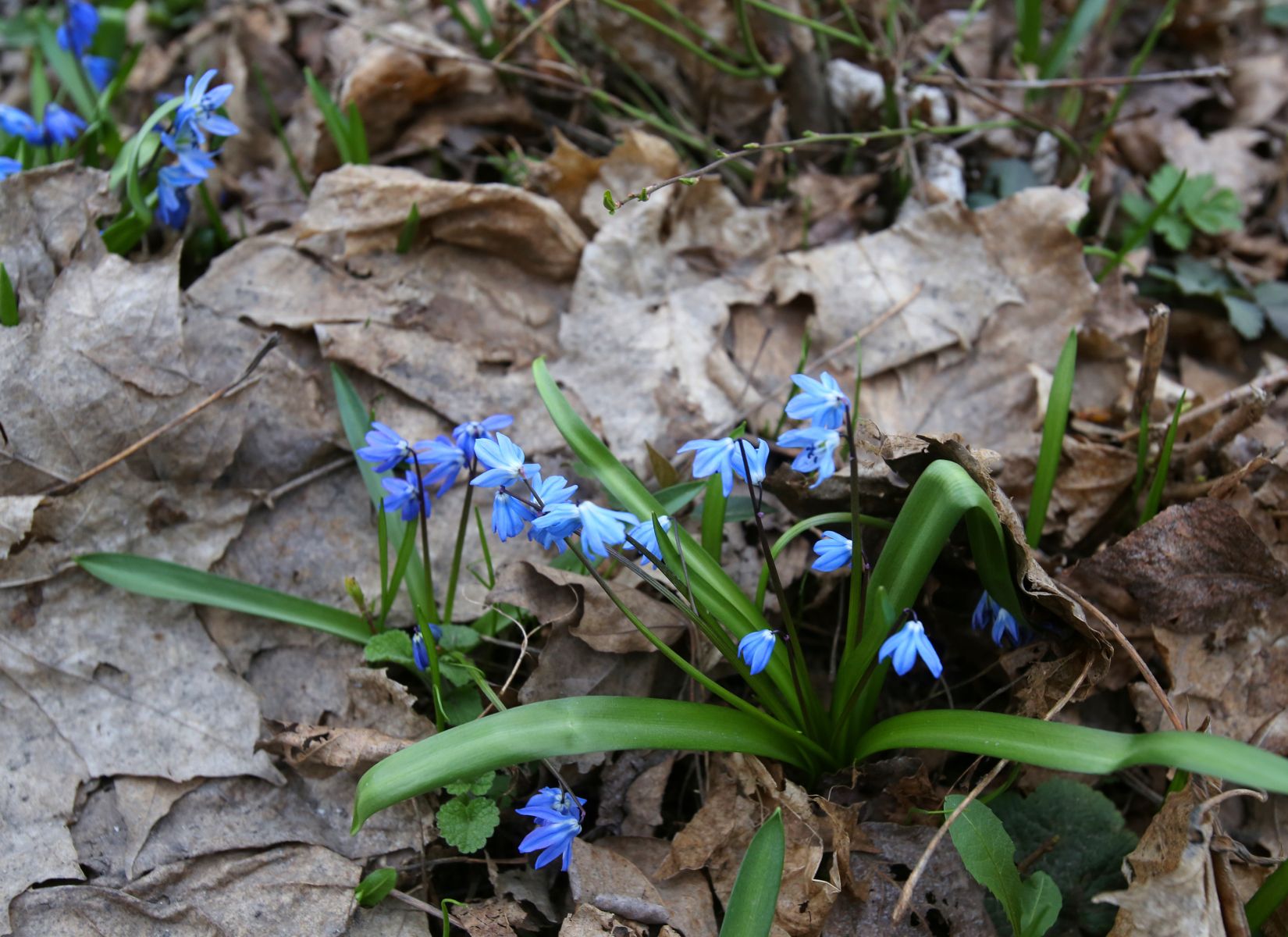 До +11° потеплеет в Воронеже в ближайшее время&nbsp;