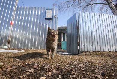 Прогноз погоды в Воронеже на пятницу, 7 марта