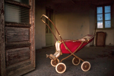 Главное за ночь. Такса загрызла спящего в кроватке младенца