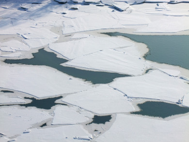 Шесть человек погибли на воронежских водоёмах
